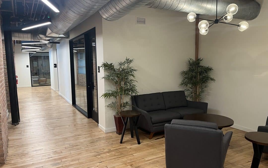 Audiotree Renovations